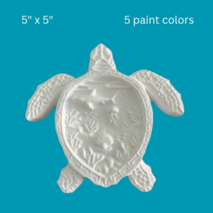 Ocean Turtle